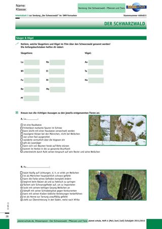 Arbeitsblatt 3: Säugetiere und Vögel im Schwarzwald