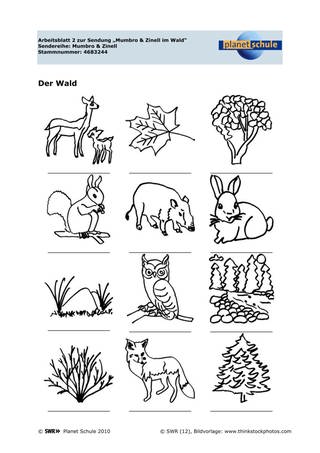 Arbeitsblatt 2: Tiere im Wald