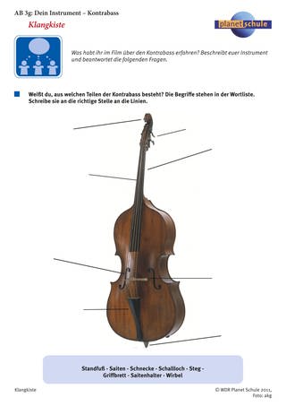 Arbeitsblatt 3g: Dein Instrument: Kontrabass