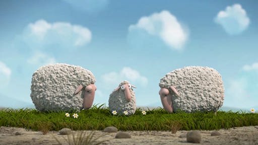 Ein kleines Schaf steht zwischen zwei großen, die grasen, auf einer Weide (Foto: SWR – Screenshot aus der Sendung)