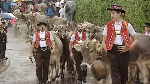 Sennen in Trachten  führen ihre Rinder zur Viehschau (Foto: SWR)