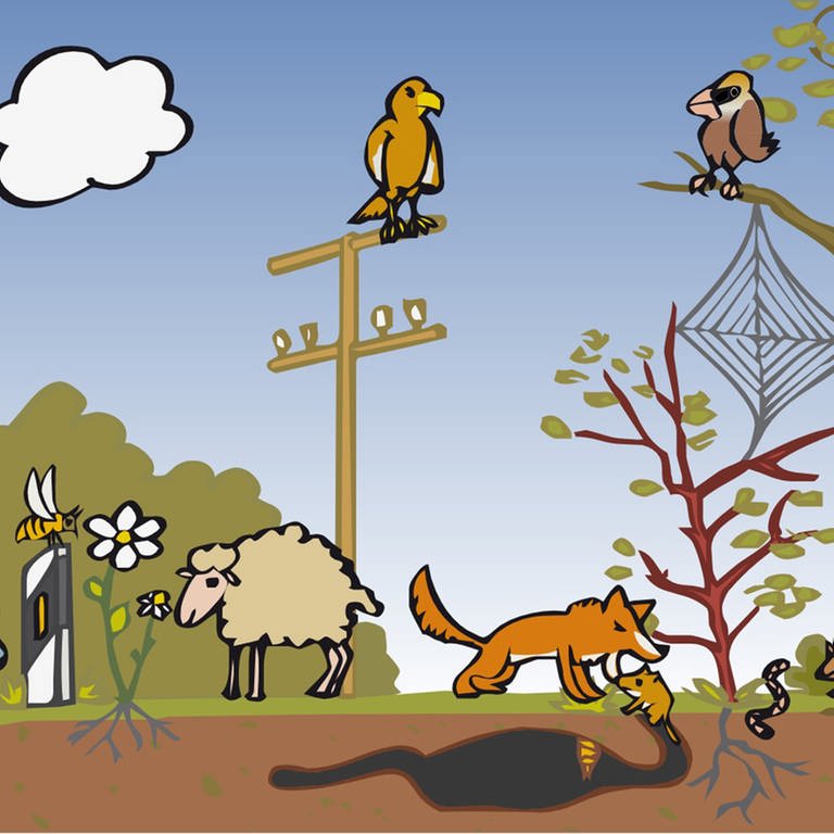 In der Animation zur Nahrungskette in Feld und Flur wird eine Maus von einem Fuchs gefressen. Weitere Tiere, die Teil dieses Ökosystems sind, sind ebenfalls zu sehen.