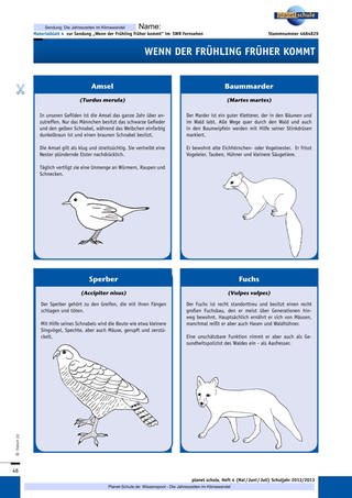 Materialblatt 4: Infokarten Tiere