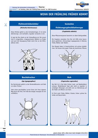 Materialblatt 2: Infokarten Tiere