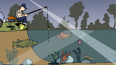 In der Animation zur Nahrungskette im Teich nimmt eine Alge durch das Sonnenlicht und die Mineralien aus dem Wasser Nährstoffe auf. Wird sie vom nächsten Glied der Nahrungskette gefressen, gibt sie diese Nährstoffe an die Konsumenten weiter. (Foto: Screenshot aus Animation)