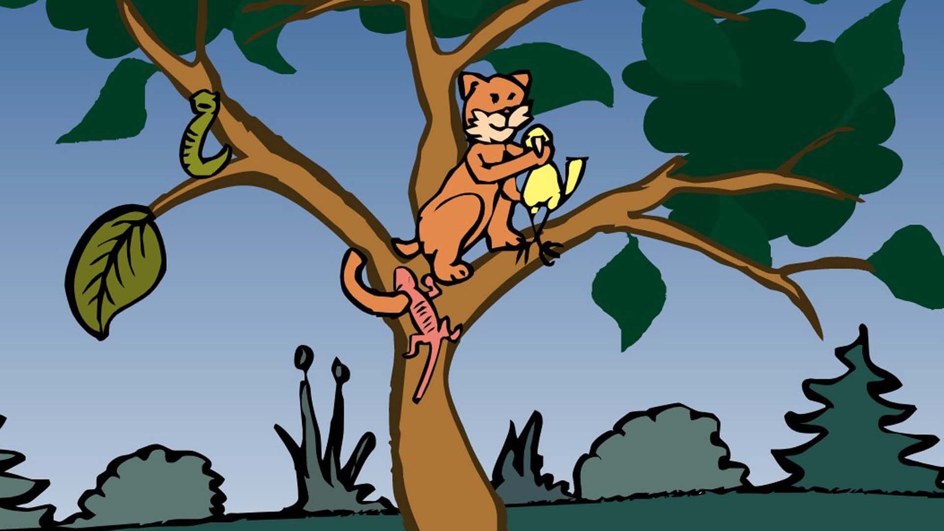In der Animation zur Nahrungskette im Wald frisst eine Katze einen Vogel. Als Endverbraucher ist sie das letzte Glied der Nahrungskette. Stirbt sie, wird ihre Biomasse von den Destruenten zersetzt und der Kreislauf schließt sich.