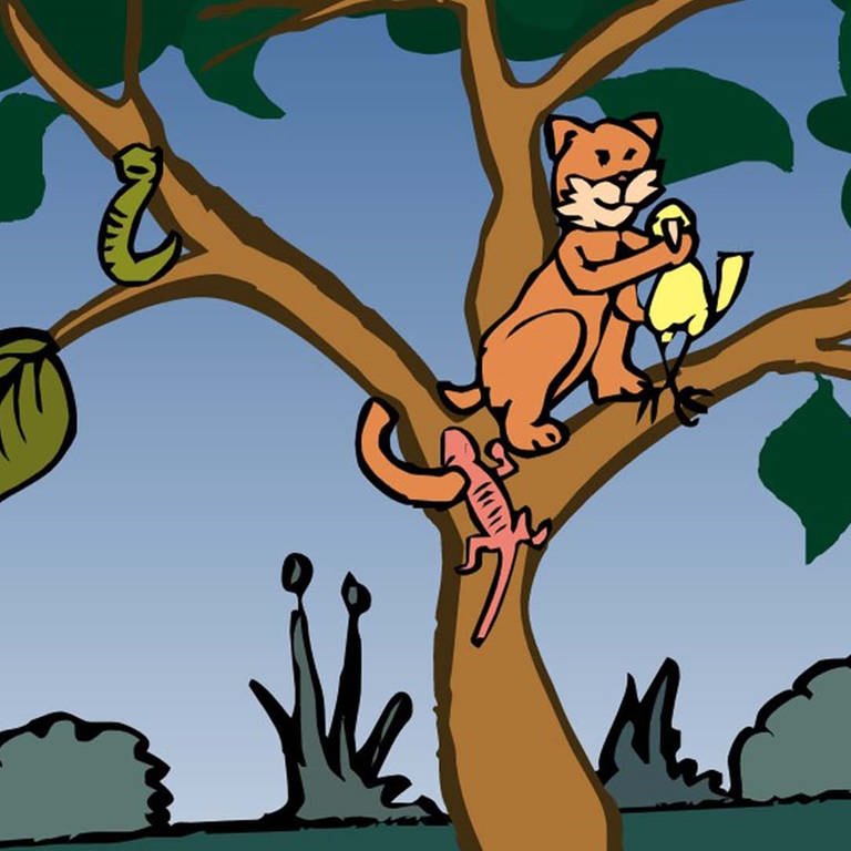In der Animation zur Nahrungskette im Wald frisst eine Katze einen Vogel. Als Endverbraucher ist sie das letzte Glied der Nahrungskette. Stirbt sie, wird ihre Biomasse von den Destruenten zersetzt und der Kreislauf schließt sich. (Foto: Screenshot aus Animation)