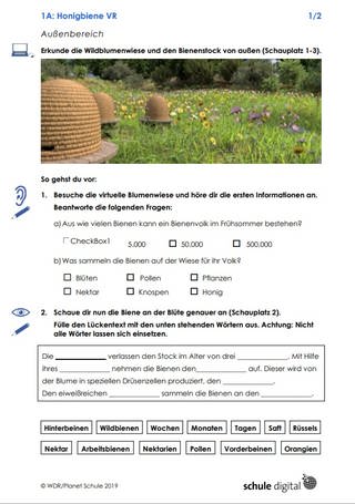 Materialblatt: Honigbiene VR - Außenbereich