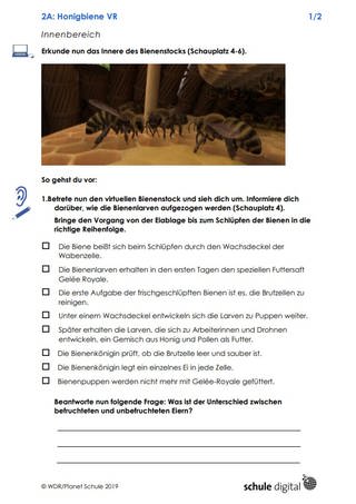 Materialblatt: Honigbiene VR - Innenbereich
