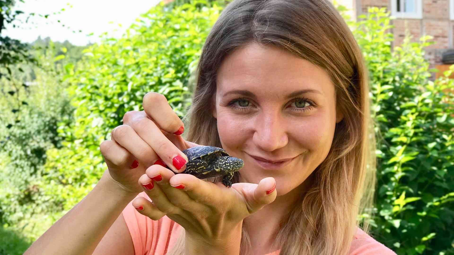 neuneinhalb-Reporterin Jana hält eine zwei Jahre alte Europäische Sumpfschildkröte auf der Hand  Jana hält eine junge Europäische Sumpfschildkröte auf der Hand in die Kamera.