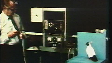 Der Psychologe Skinner vor einem Versuchsaufbau mit einer Taube; (Foto: WDR)