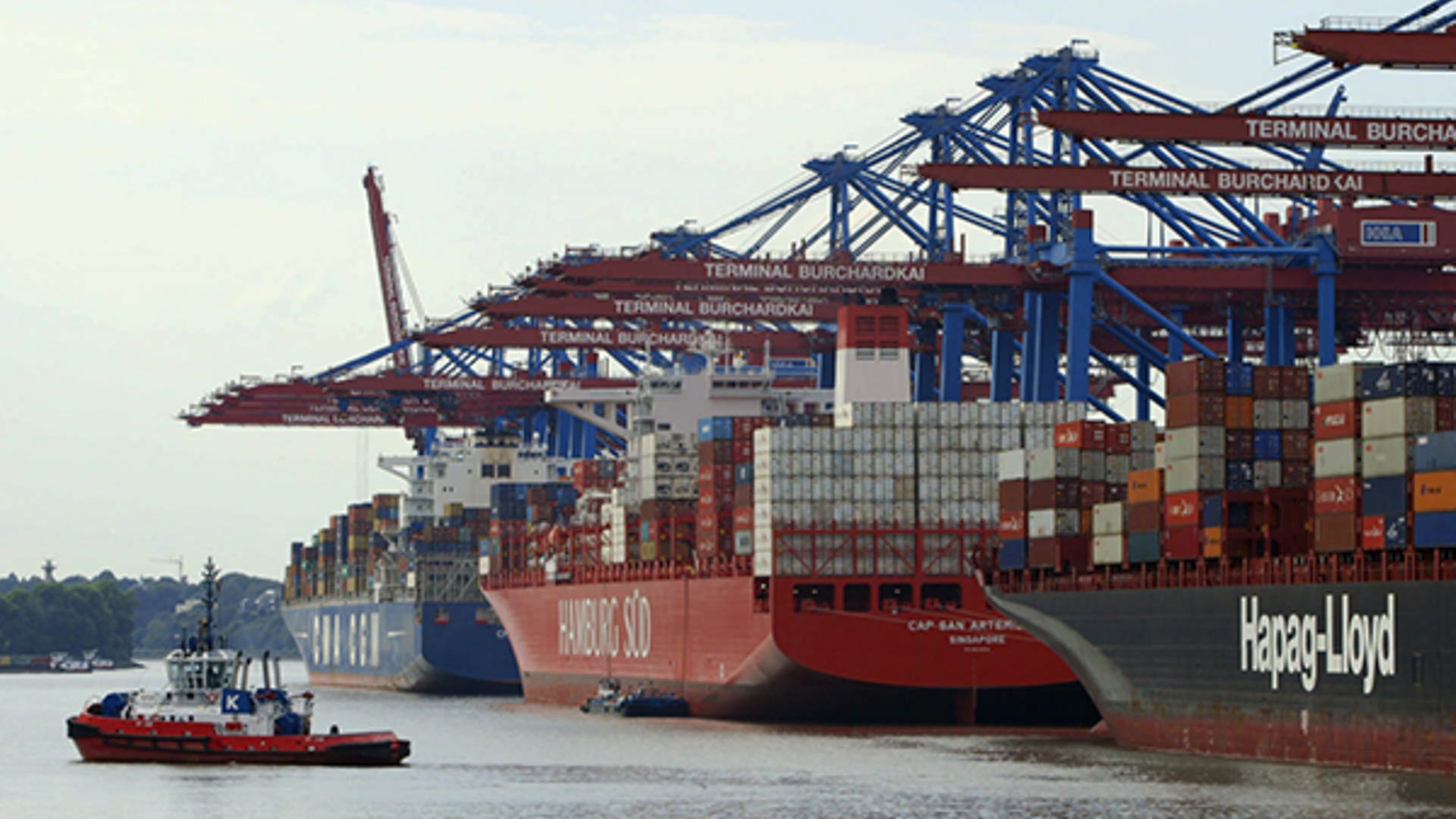 Mehrere große Containerschiffe in einer Reihe an einem Hafen