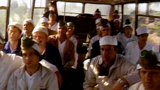 Männer in Arbeitskleidung in einem Bus. (Foto: SWR –Screenshot aus der Sendung)
