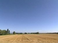 Landschaftsaufnahme mit blauem Himmel, Bäumen und einem Feld