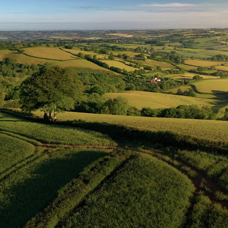 Blick über die Landschaft des Devon im Südwesten von England