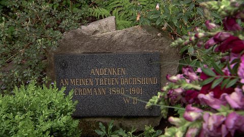 Ein Grabstein mit der Aufschrift: Andenken an meinen treuen Dachshund Erdmann 1890-1901.