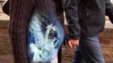 Ein computeranimierter Blick in den Bauch einer Schwangeren: Knochenstruktur von Mutter und Kind sind erkennbar.