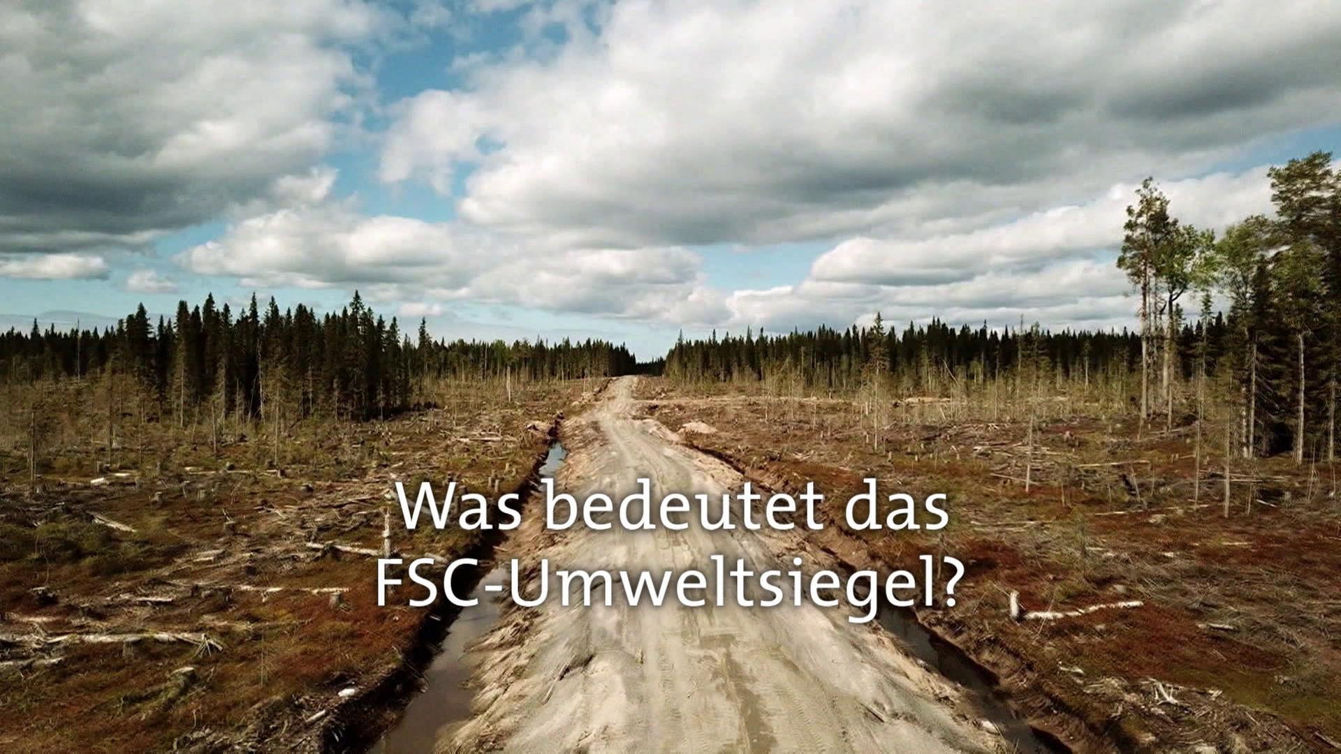 Was bedeutet das FSC-Umweltsiegel? · Frage trifft Antwort