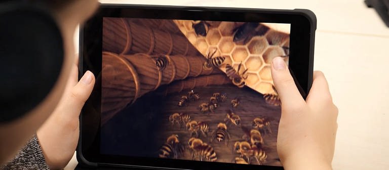 Über die Schulter eines Kindes mit Kopfhörern ist ein Tablett sichtbar, auf dem "Honigbiene VR" läuft.