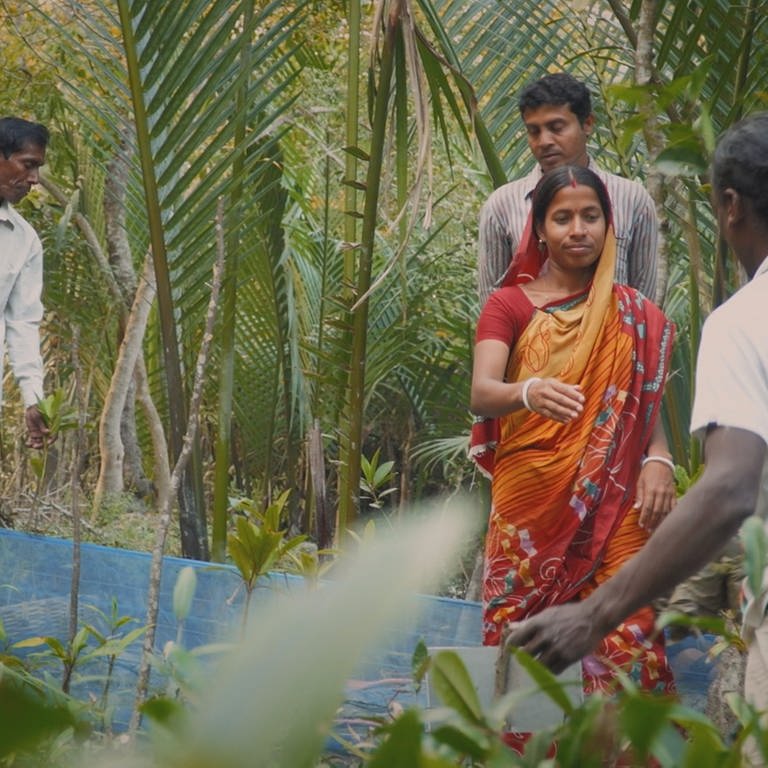 Frauen in einem Mangrovenwald