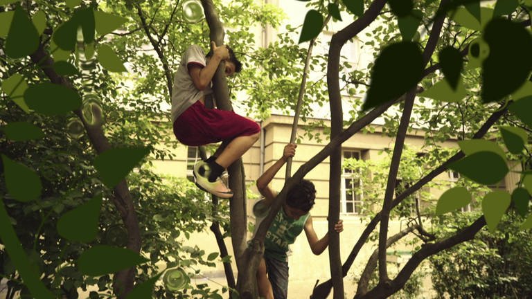 Kinder klettern in einem Baum.