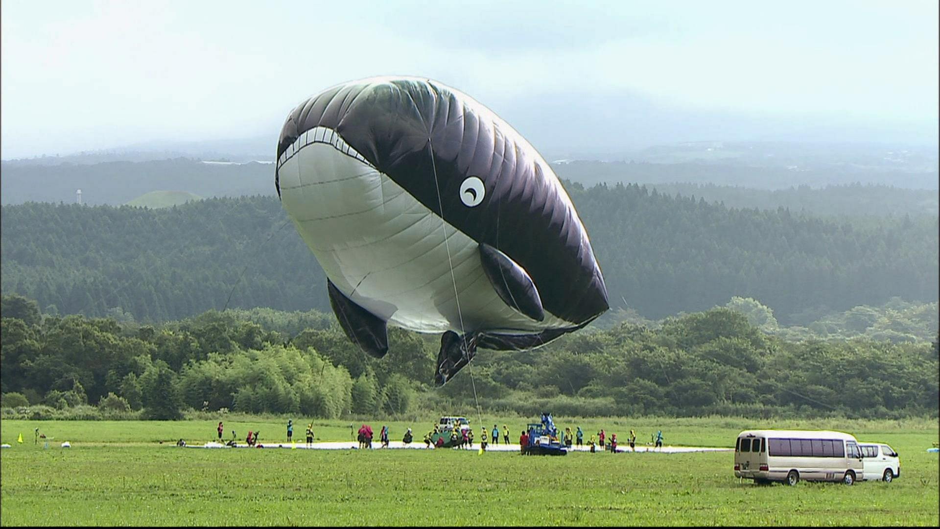 Ein riesiger Heißluftballon in Walform schwebt über einer Wiese.