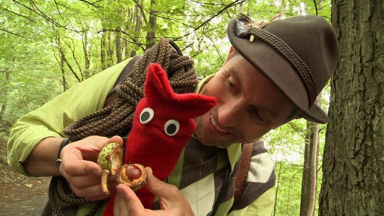 Ein Mann und eine rote Strumpfhandpuppe sind im Wald. Der Mann zeigt der Puppe eine Kastanie.