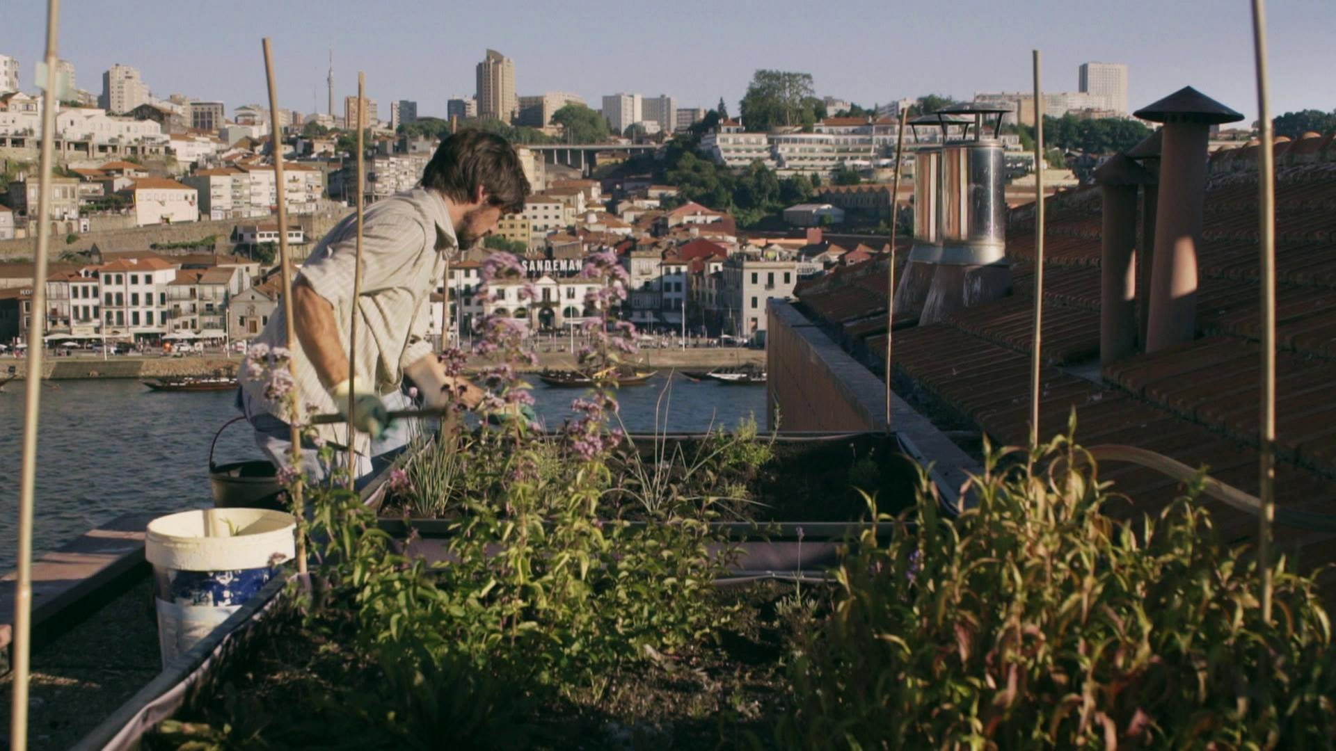 Porto: Pedro, der Stadtfarmer · Big Cities