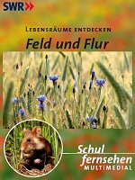 Cover "Lebensräume entdecken: Gewässer" (Quelle: SWR)