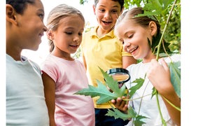 Fachbild Sachunterricht