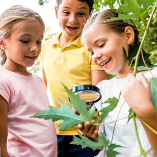 Fachbild Sachunterricht