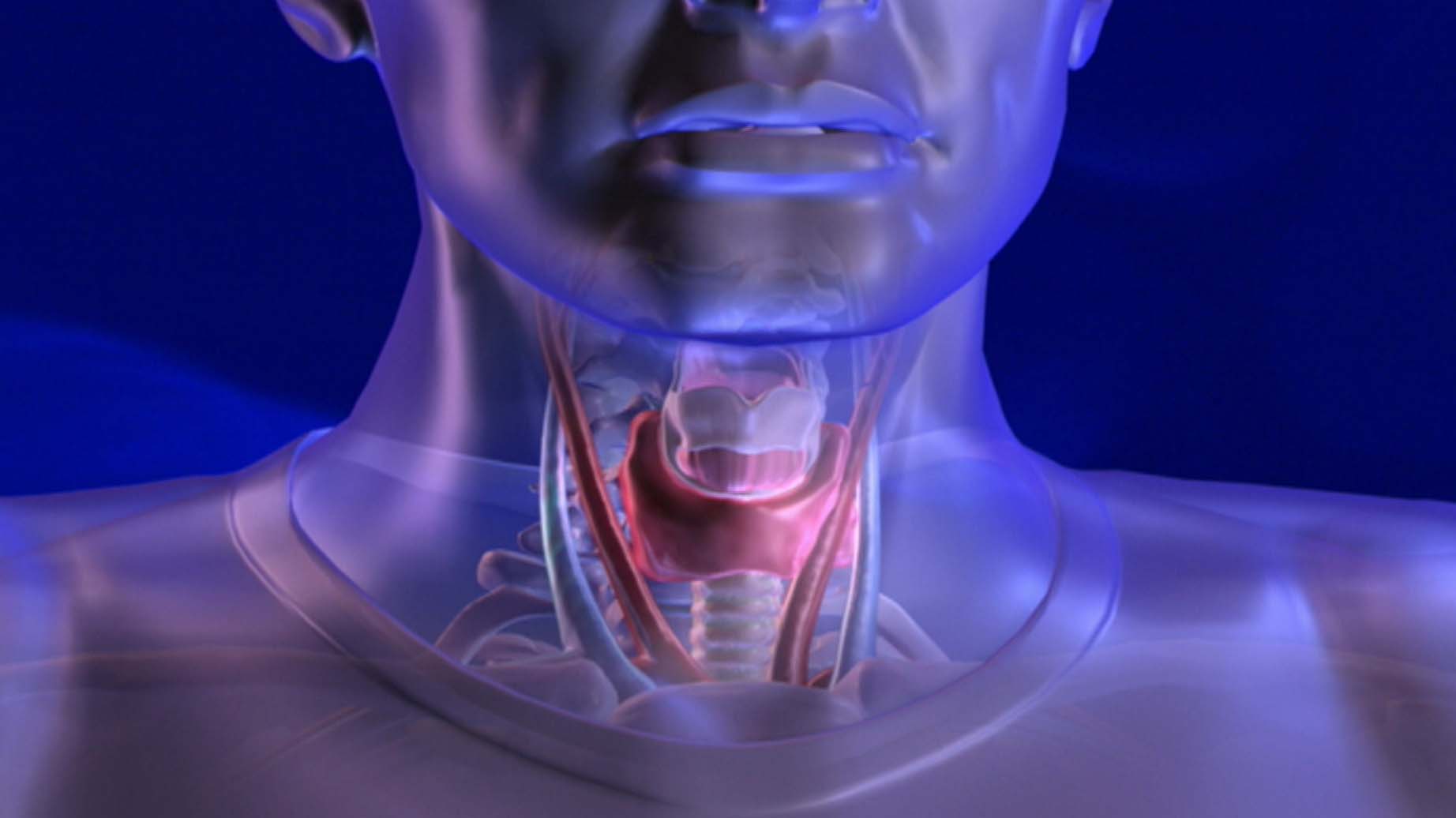 Was bricht beim Stimmbruch? – Filme online – Planet Schule ...