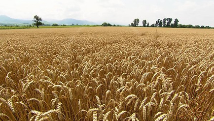 Dieses Video kann von ihrem Browser nicht dargestellt werden.