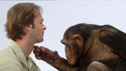 Dieses Video kann von ihrem Browser nicht dargestellt werden.