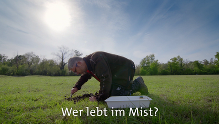 Dieses Video kann von ihrem Browser nicht dargestellt werden.