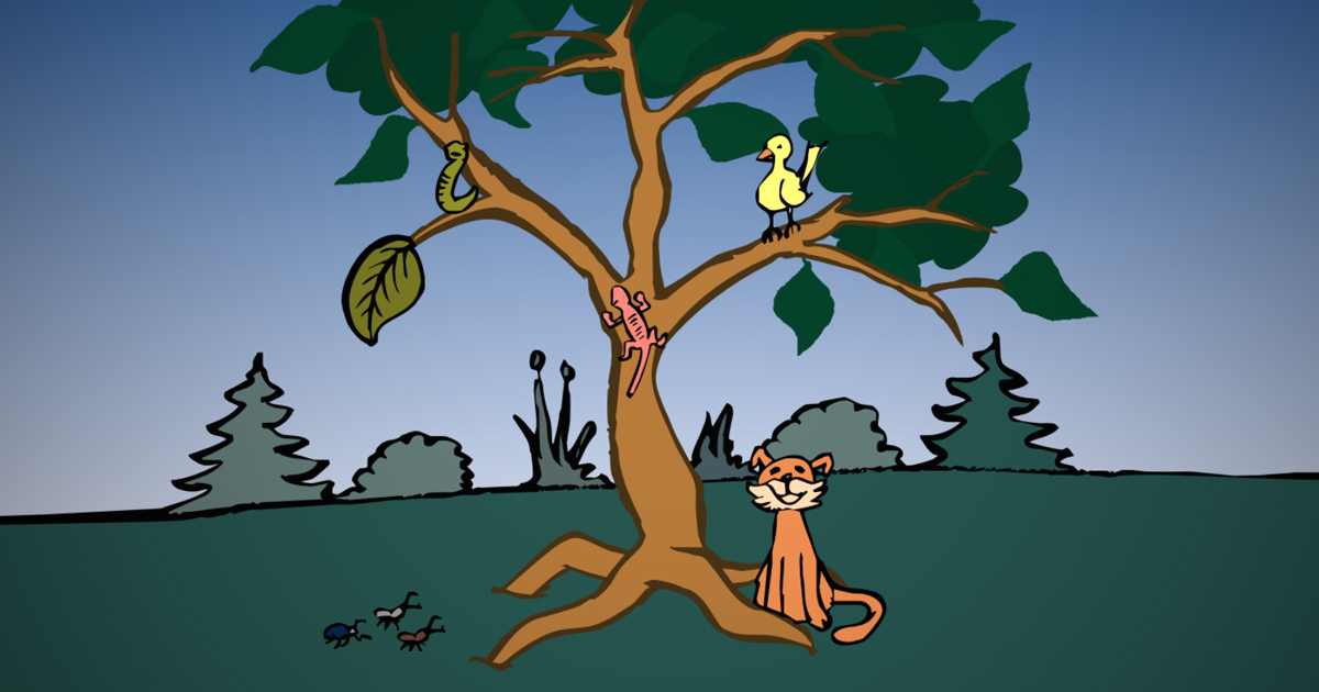 Screenshot aus der Anwendung