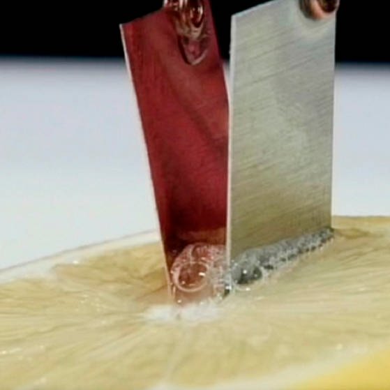 Zwei Metallplättchen stecken in einer aufgeschnittenen Zitrone (Foto: SWR – Screenshot aus der Sendung)