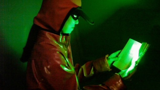 Mädchen mit Buch bei grünem Licht.