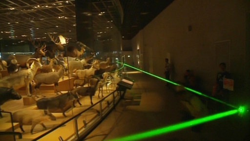 Grüner, abgewinkelter Lichtstrahl in einem dunklen Museum.