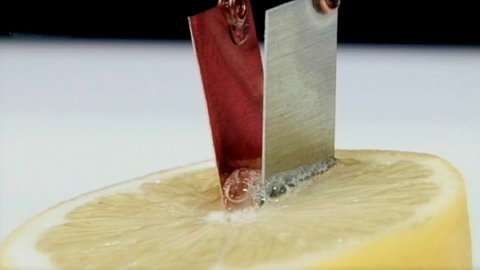 Zwei Metallplättchen stecken in einer aufgeschnittenen Zitrone