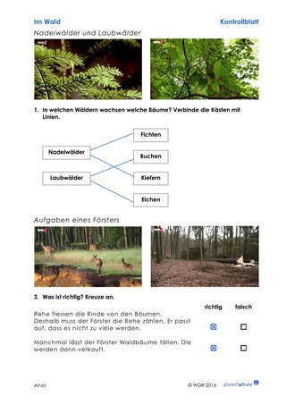 Lösungen 1: Waldtypen und Aufgaben Förster (Foto: )
