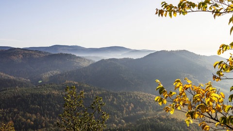 Blick von oben auf ene deutsche Mittelgebirgslandschaft