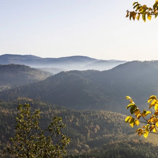 Blick von oben auf ene deutsche Mittelgebirgslandschaft