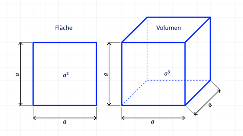 Grafik eines Quadrats und eines Würfels mit Beschriftung