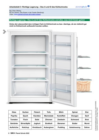 Arbeitsblatt 3: Richtige Lagerung – Das A und O des Kühlschranks