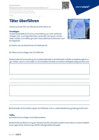 Screenshot des Arbeitsblattes