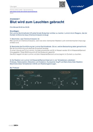 Screenshot des Arbeitsblattes