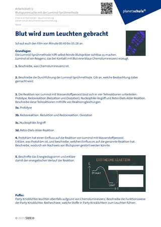 Screenshot des Arbeitsblattes