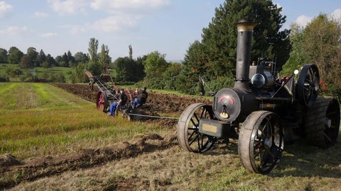 Männer führen mit einem alten Lokomobil das Pflügen auf dem Feld vor.