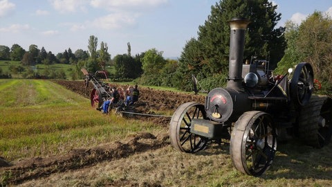 Altes Lokomobil beim Pflügen eines Ackers.